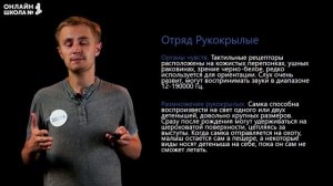 Отряды плацентарных млекопитающих. Рукокрылые, Грызуны и другие. Видеоурок 31. Биология 7 класс
