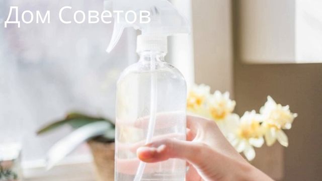 Эффективное и Дешёвое средство от Мух своими Руками! Рецепт - проще Простого!