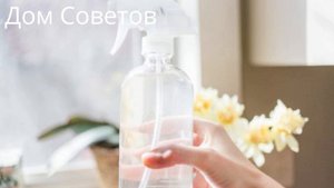 Эффективное и Дешёвое средство от Мух своими Руками! Рецепт - проще Простого!