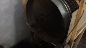 Обзор сепаратора для отсева биогумуса и червя дендробена.