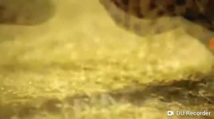 Мы бежим стобой как будто от гепарда