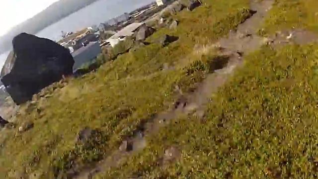 алеша дх смотреть онлайн