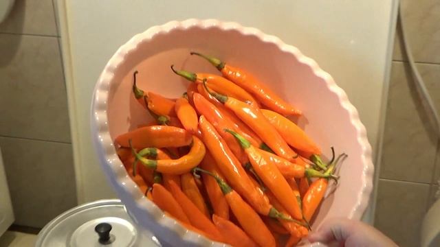 Перец халапеньо Обзор сортов Заготовка на зиму смотреть онлайн