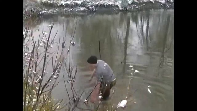 Рыбалка без удочки смотреть онлайн