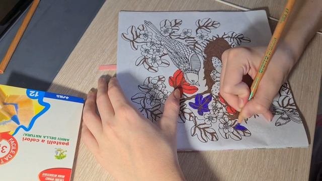 РАСКРАШИВАЮ 24 ЧАСА ЧЕЛЕНДЖ