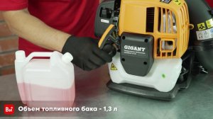 Бензиновая ранцевая воздуходувка Gigant 1,84 кВт, функция обдув LU-01