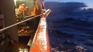 Ярусный лов.Сояна.