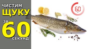 ➤ ЧИСТИМ ЩУКУ от чешуи за 60 секунд _ ЛЁГКИЙ и БЫСТРЫЙ способ _ Почистить Рыбу с помощью Кипятка.