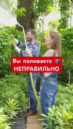 НИКОГДА НЕ ПОЛИВАЙТЕ ТАК!