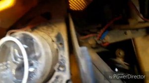 Stels Guepard - (ангельские глазки)