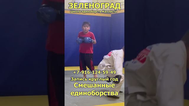 Смешанные единоборства в Зеленограде для детей. Запись круглый год