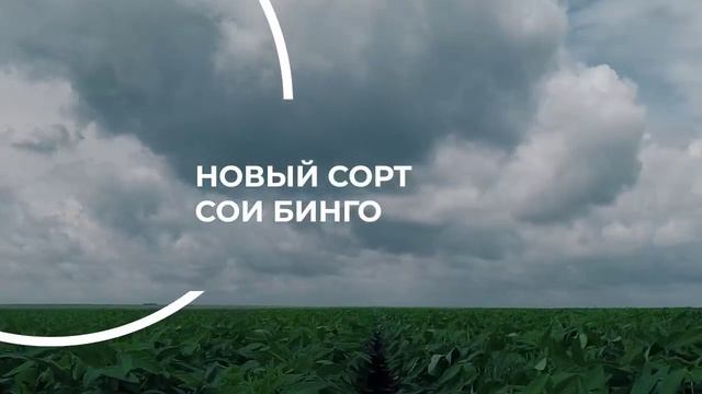 Бетагран Липецк Купить Семя