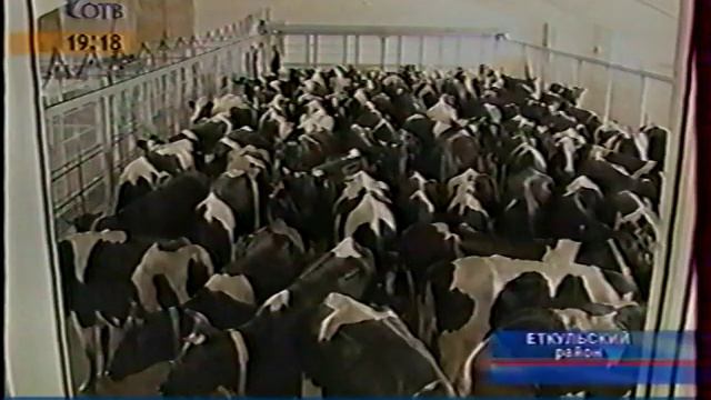 Челябинская область Коелга Дойка коров на карусели 2008 смотреть онлайн