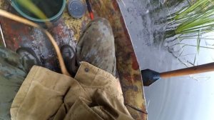 ЛОВЛЯ ЩУКИ НА СНАСТОЧКУ И ЖИВЦА