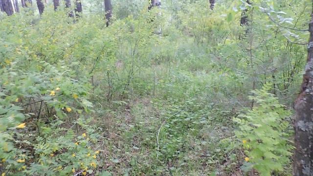 "Чудеса - да и только." смотреть онлайн