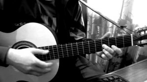 ВЫСОЦКИЙ ГЕРБАРИЙ