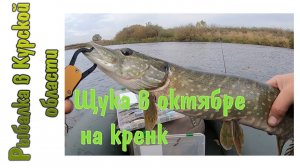 TsuYoki Macho, Trout Mania и первая щука в октябре