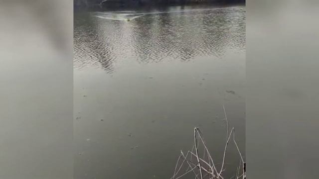 СЕЗОН ОТКРЫТ 12.04.2021 г. Карповый кораблик для рыбалки Favorite Two (отличный улов). смотреть онлайн