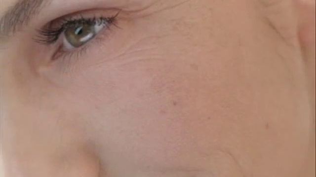 Spot смотреть онлайн