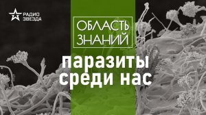 Как грибы управляют живыми существами? Лекция биолога Сергея Подковальникова.