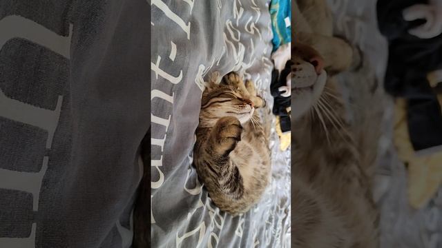 Ужасы во сне смотреть онлайн