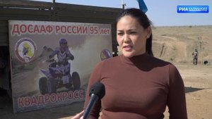 Новые кроссовые мотоциклы для любителей скорости