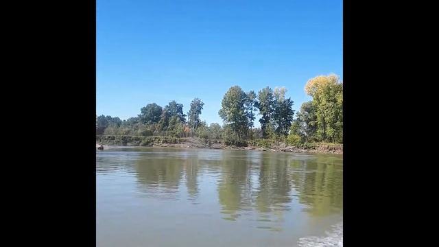 Природа и результат рыбалки в Сибири | Рыбалка Сузун Новосибирск | Ловим Щуку | Рыбалка на Спиннинг смотреть онлайн