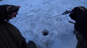 Ловля на без-мотылку !!!            Плотва на мормышку коза