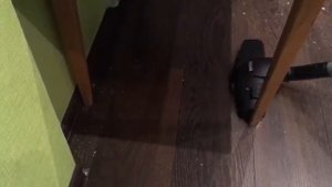 Уборка квартиры пылесосом Philips PowerPro Compact FC9352/1