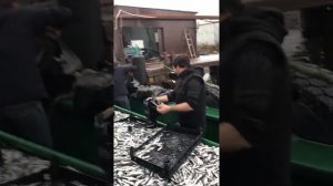 Рыбалка, Хамса, на чёрном море