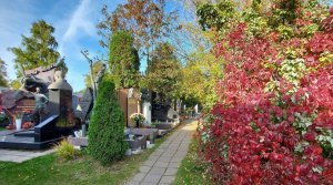 Новодевичье кладбище (часть 2). Москва 2020