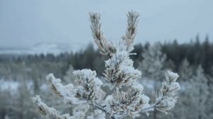 Черемшанские карьеры зимой! Путешествия по Челябинской области, природа Южного Урала.mp4