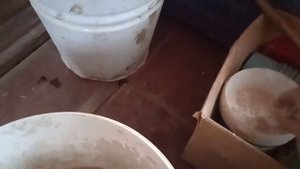 Приготовление корма и витаминные добавки для роста поросят
