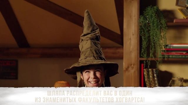 Распределяющая шляпа из мира Гарри Поттера