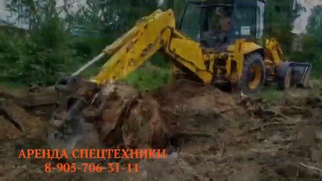 Расчистка участка от деревьев, кустарников, пней