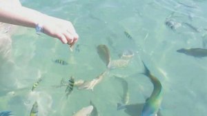 Hauza Beach Resort Sharm El Sheikh Nabq Bay