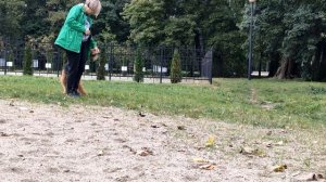 Танцы с собаками, трюки. Школа "БРАВО". Эрдельтерьер САША. Тренировка 06.10.2020