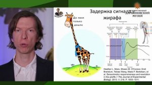 Онлайн-лекция Ярослава Попова "Знакомьтесь, Динозавры" | Дарвиновский музей