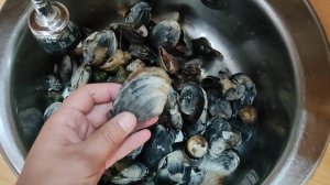 Раскопки на берегу моря. Копаем моллюска Гуидак. Остров Сахалин.