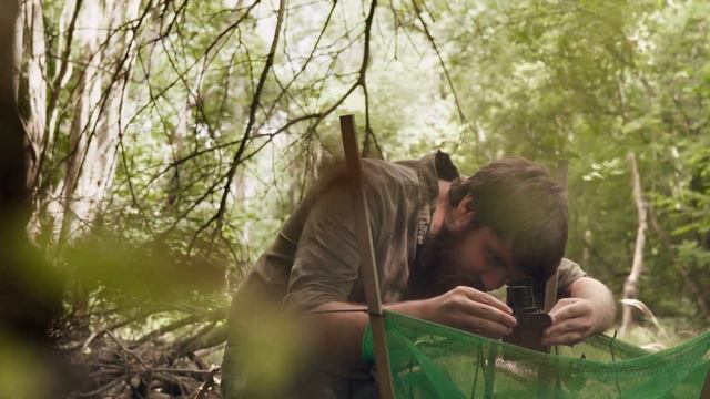 Oaks - The Monarchs of the Woods | Wytham Woods смотреть онлайн