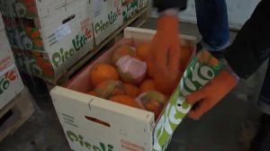 Апельсин  Навелина, 36 калибр (Испания)