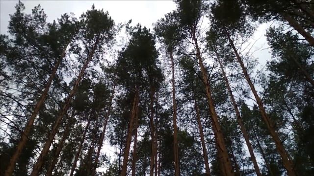 Влог / Касимовский район / Село Самылово / Дом в деревней /Подарок новорожденному смотреть онлайн