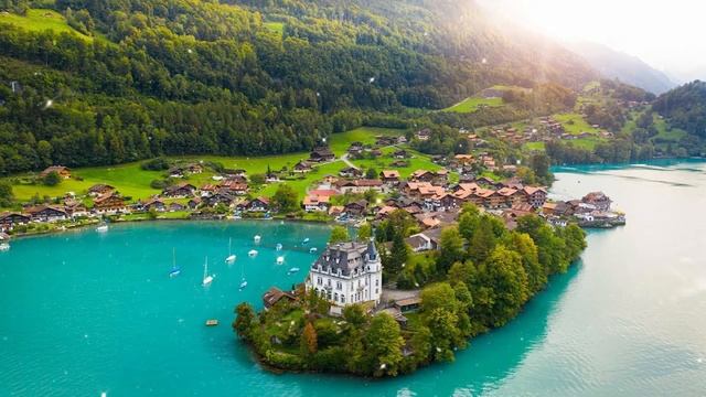 Цветы красиво распускаются под музыку! Сборник ЛУЧШИХ Мелодий от которых мурашки по телу #131 смотреть онлайн