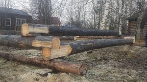 Сруб ч-2, выпиливаю лапы и паз.