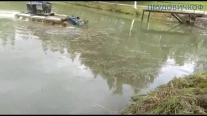 Очистка частного водоема амфибией Truxor