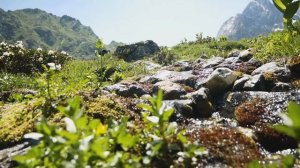 Архыз. Поход к озерам балки Орленок. Таких эмоций мы не испытывали!