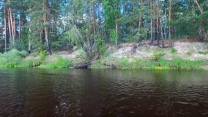 Сплав по реке Лух на SUP и не только, от с.Талицы до д.Ильина Гора в июне 2023г.
