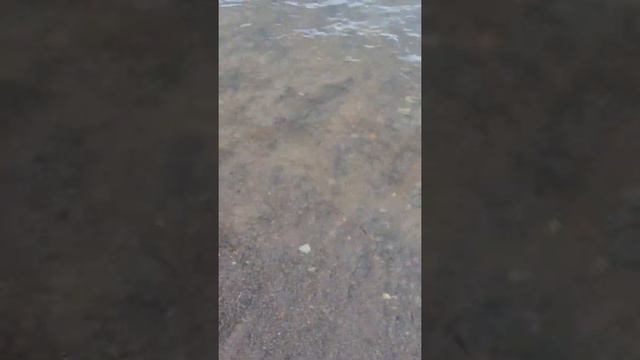 Гуляем  по Финскому заливу в Санкт-Петербурге