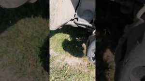 замена передней противотуманной фары на Рено Дастере.