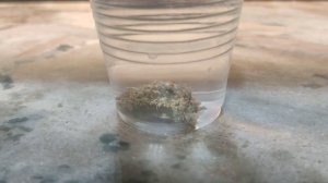 Морской аквариум. СО2 скруббер и очистка моей системы.